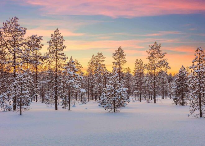 Financial Resolutions That Create Real Change