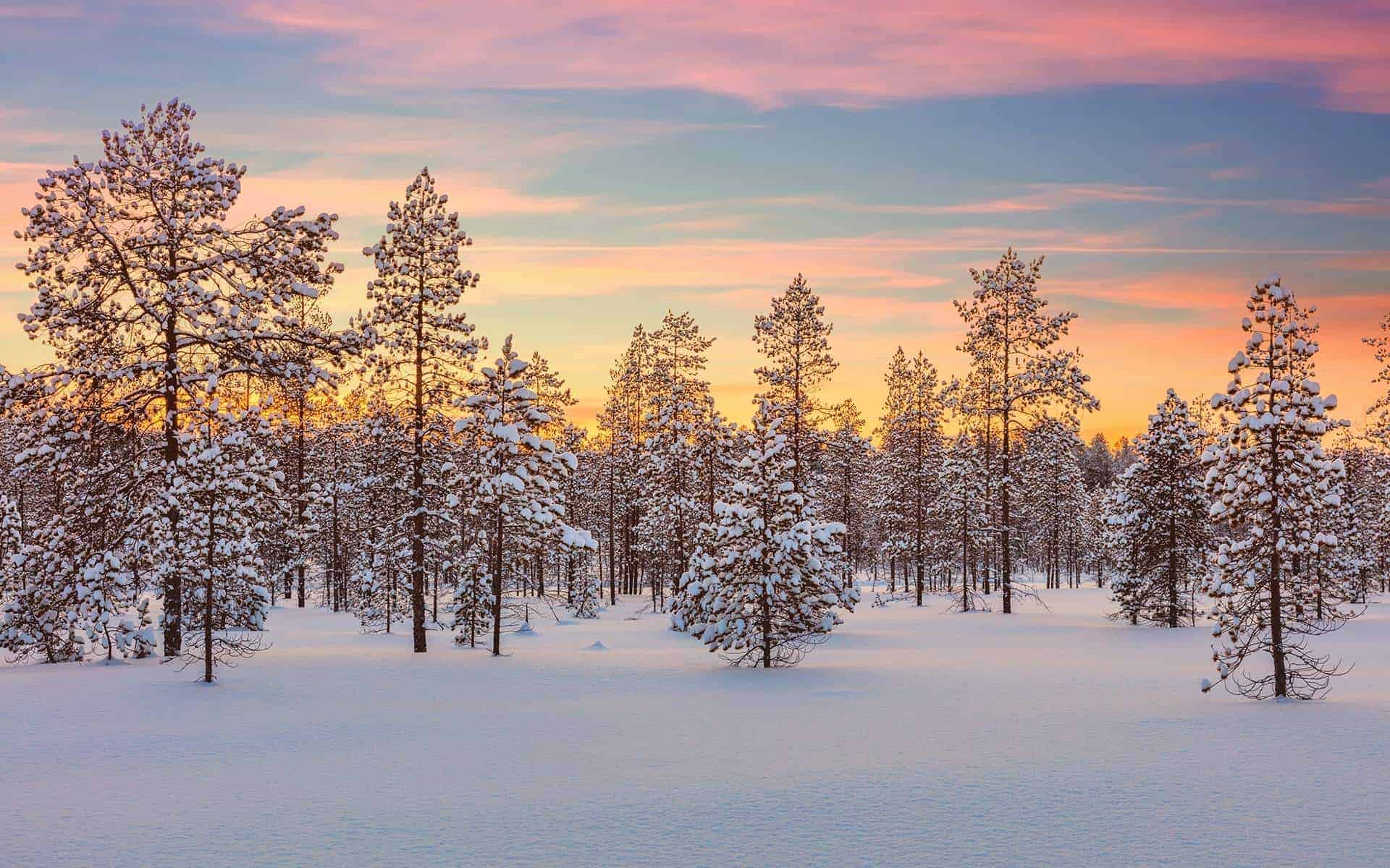 A Scented Body Routine for a Calmer Evening